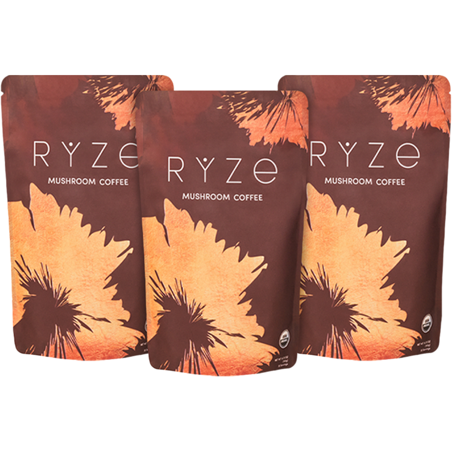 RYZE Mushroom Coffee (3 Month Upgrade)