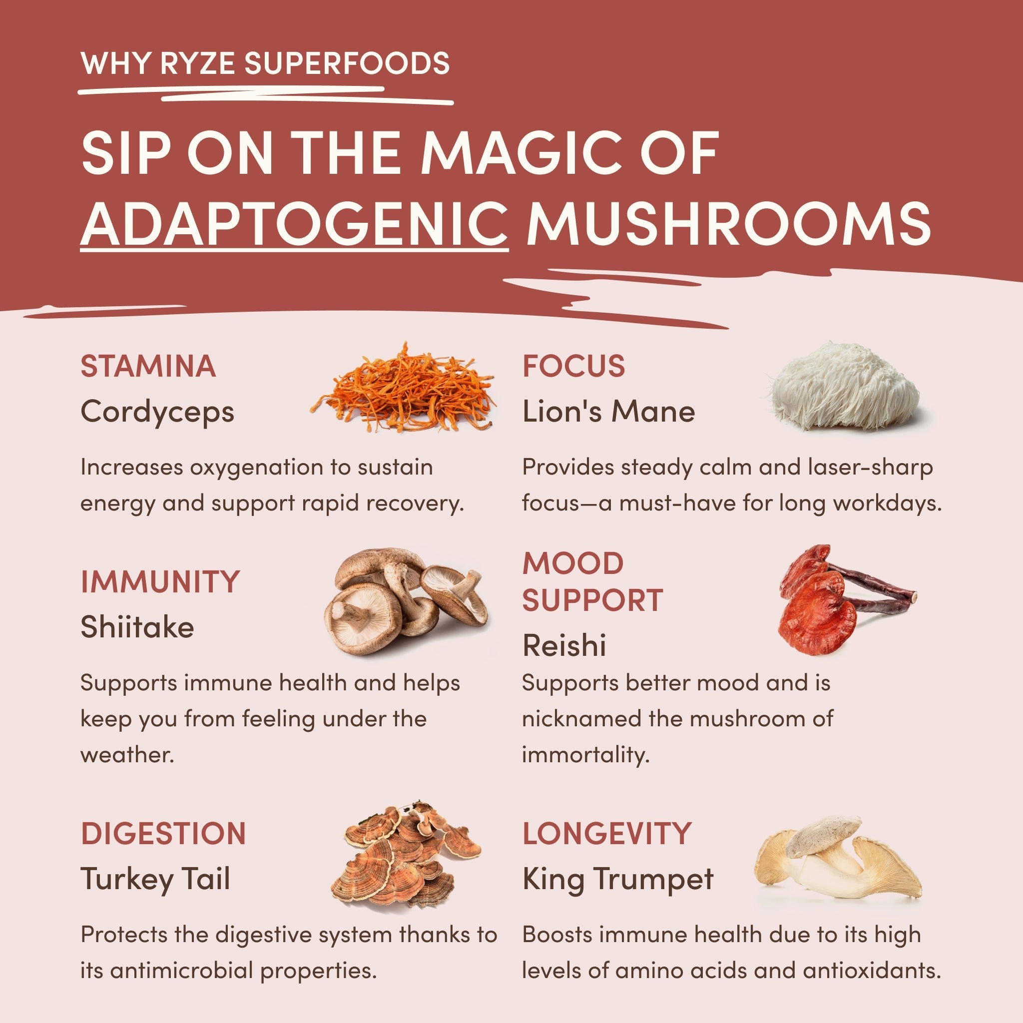 RYZE Mushroom Chicory (1 Pack - 30 Servings)