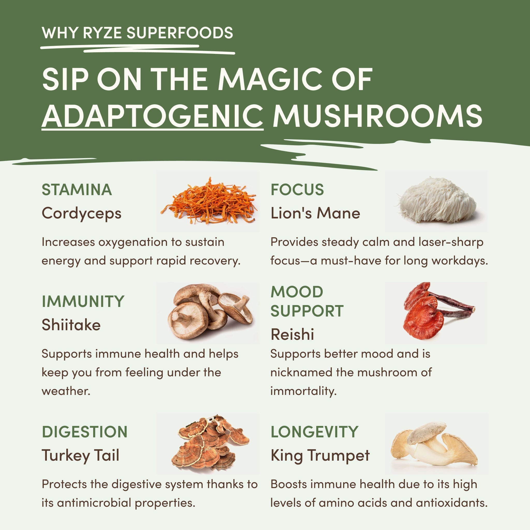 RYZE Mushroom Matcha (1 Pack - 30 Servings)