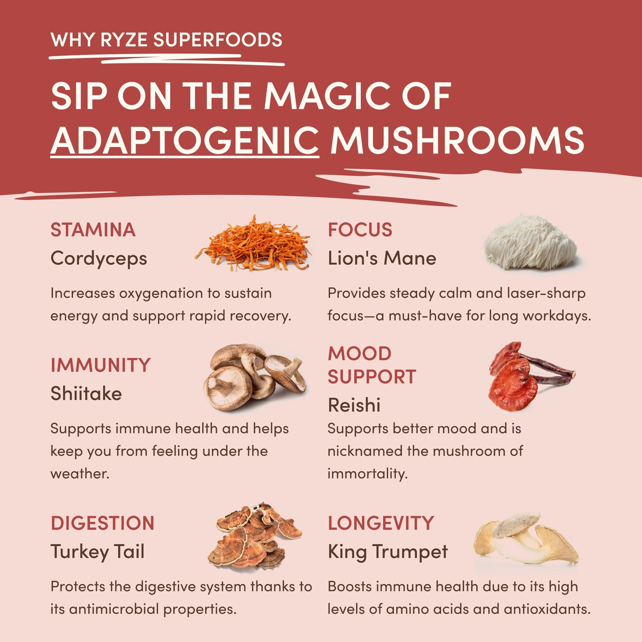 RYZE Mushroom Chai (20 Servings)